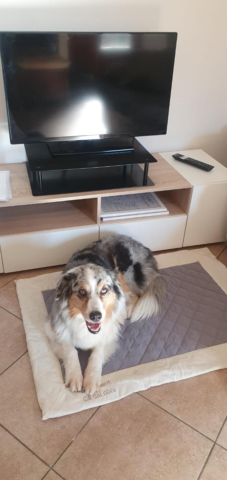 Apartment Ca Dai Noni Feriolo Bagian luar foto