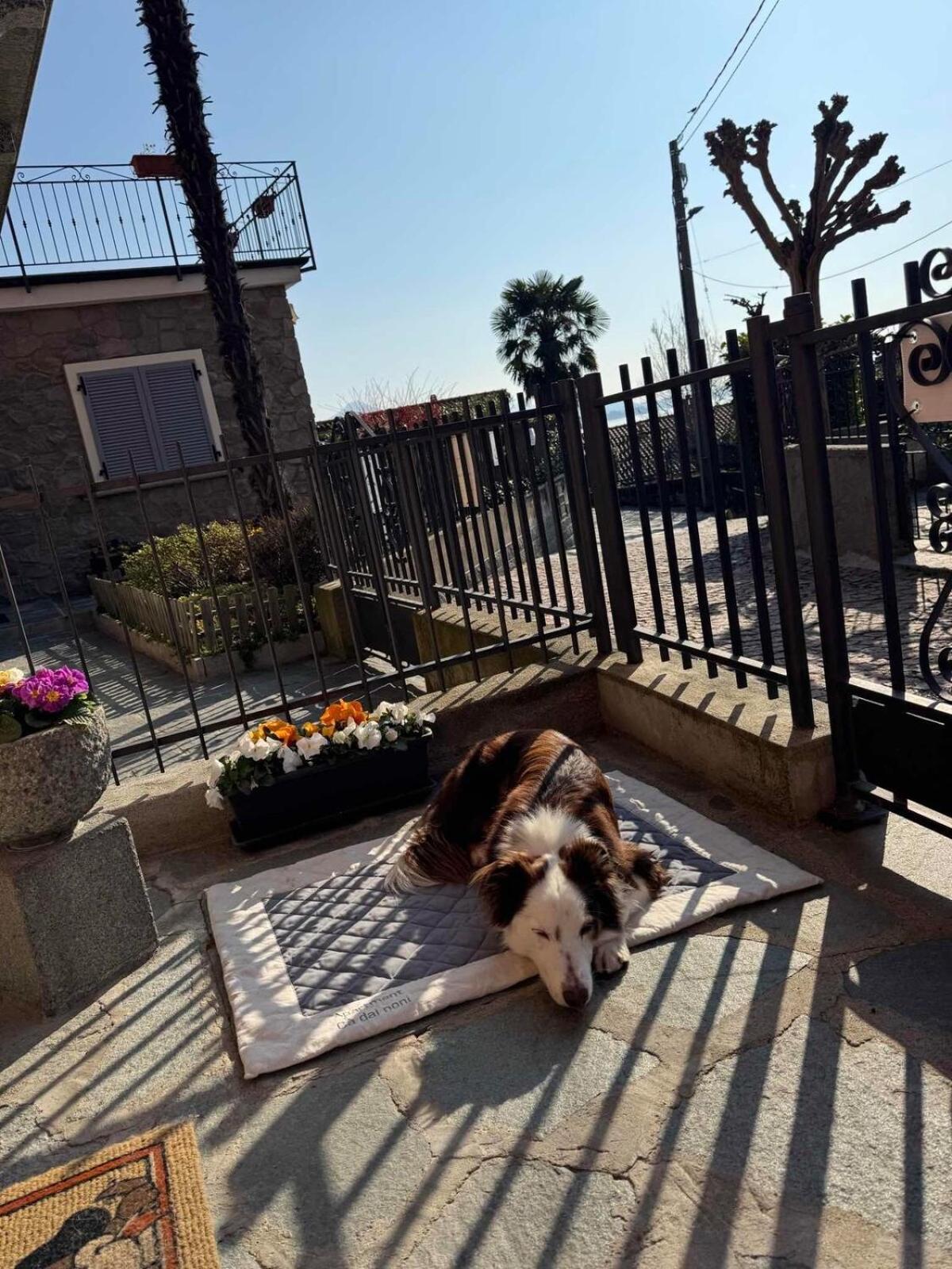 Apartment Ca Dai Noni Feriolo Bagian luar foto