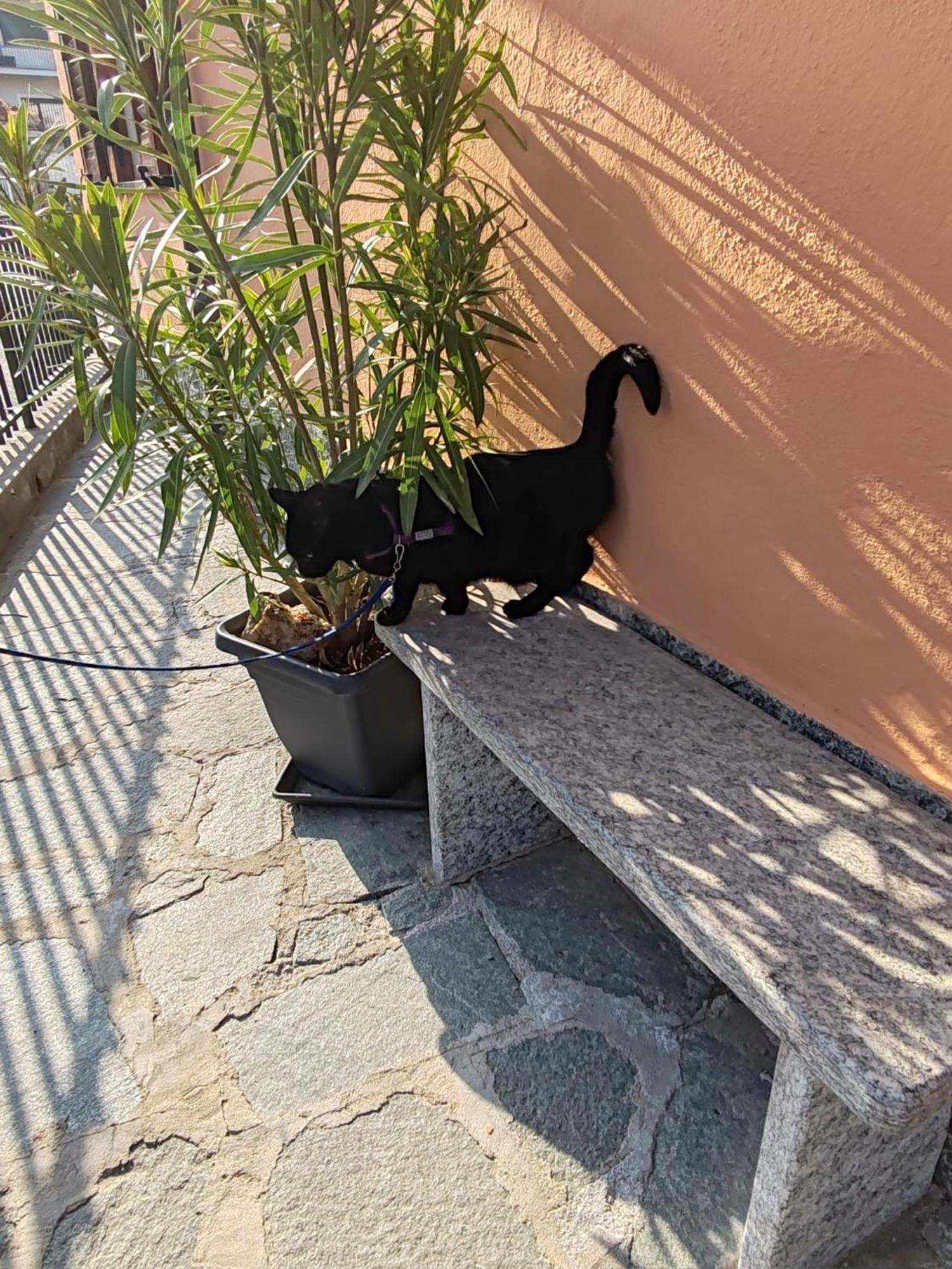 Apartment Ca Dai Noni Feriolo Bagian luar foto